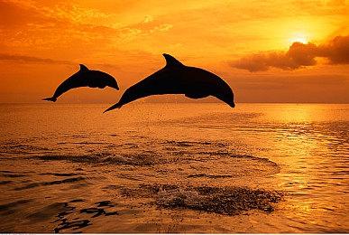 GOG喜加一！免费领取科幻卡牌RPG《深空遗物》